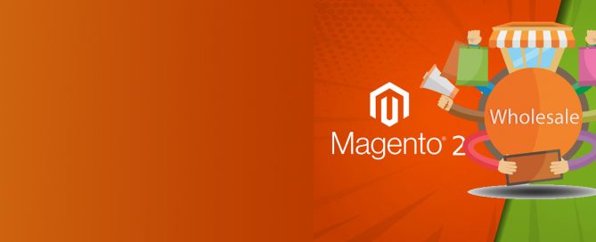 Magento-vs-Shopify-Plus-How-to-Choose-for-Your-Business-for-Wholesale